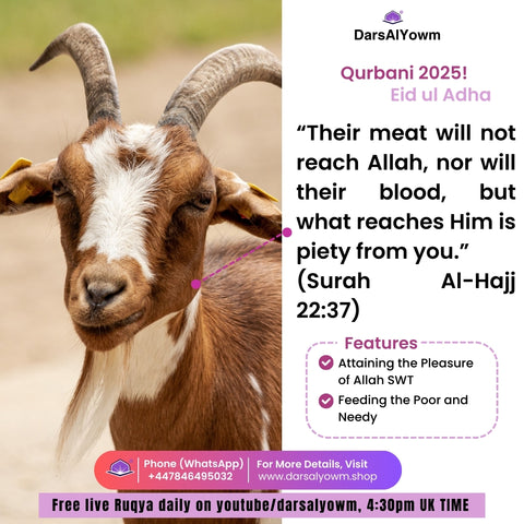 Qurbani 2025!